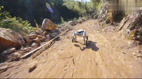 彩神vll下山路上竟然还能翻跟头？国产机器狗啥时候这么猛了？