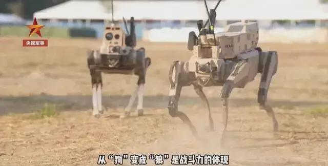 彩神vll下山路上竟然还能翻跟头？国产机器狗啥时候这么猛了？(图26)