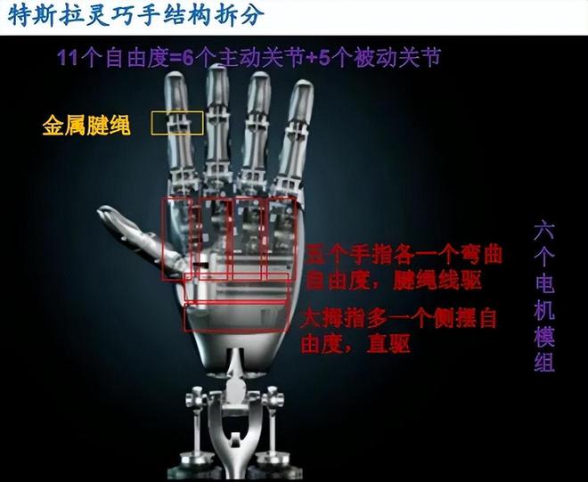 彩神vll市占率国内第一人形机器人小而美200家机构抢筹！