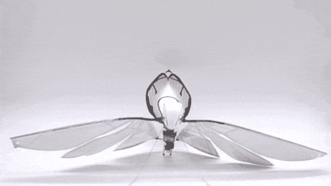 美国西北大学研究员提出飞行控制器彩神vll“MetaFly”室内飞行新突破