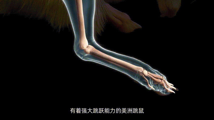 速度打破WildCa彩神vllt 10年纪录！这家上海足式机器人研发商整狠活！(图4)