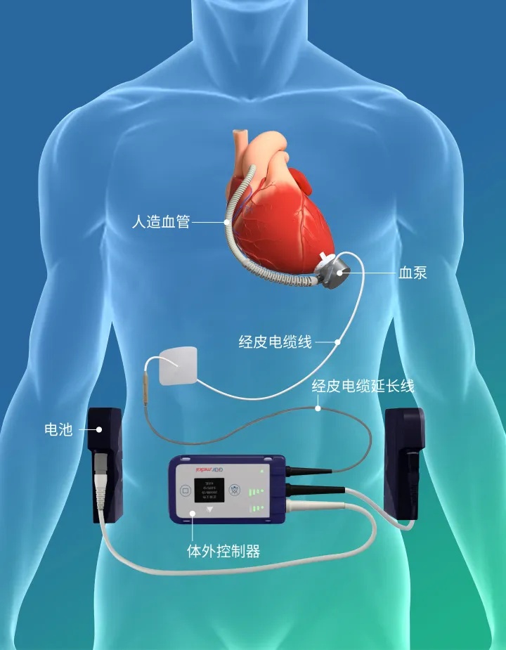 彩神vll全部导航(图1)