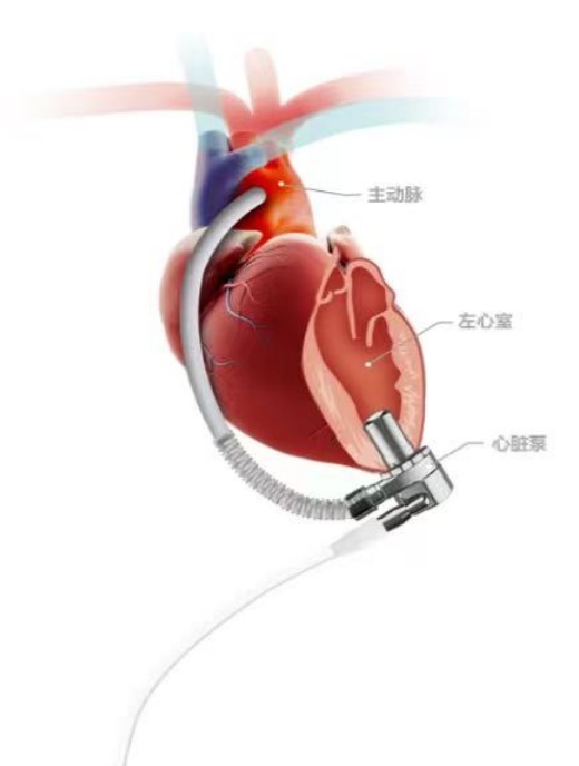 彩神vll全部导航(图2)