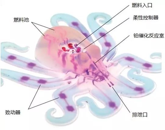 彩神vll全球十大知名运动控制器品牌有哪些？(图1)