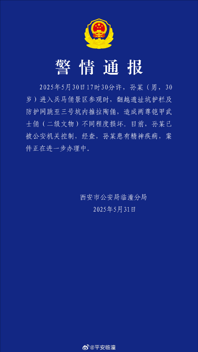 彩神vll【8点见】男子跳入兵马俑坑推倒兵马俑官方通报(图3)