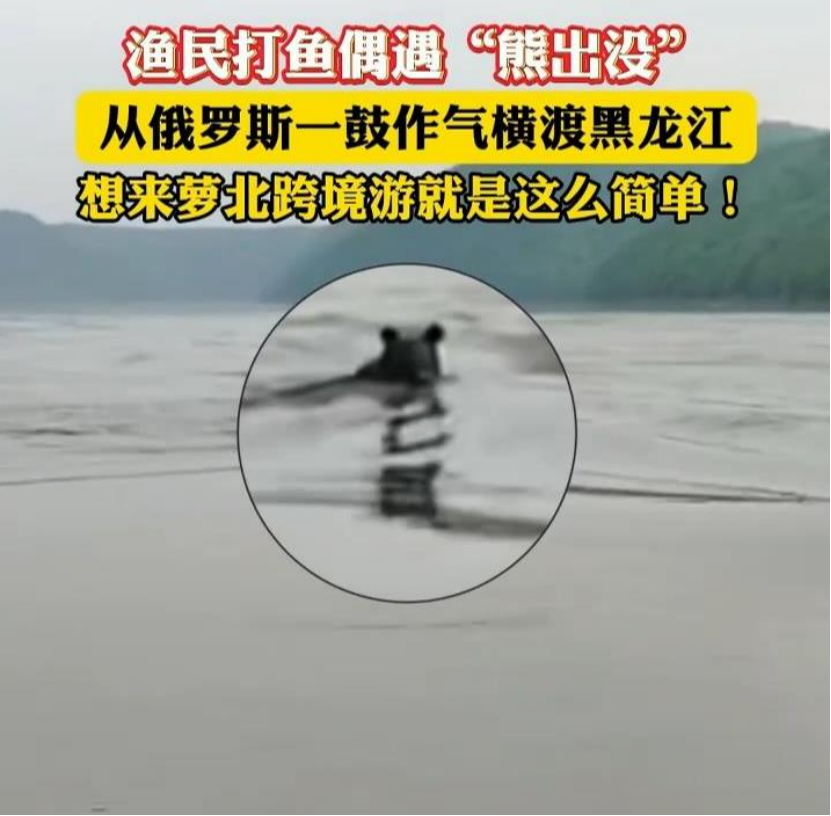 彩神vll【8点见】男子跳入兵马俑坑推倒兵马俑官方通报(图6)