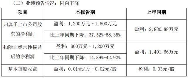 彩神vll深天马、维信诺、TCL、康佳、长虹、瑞芯微、士兰微等26企发布2025年上半年业绩预告(图14)