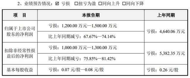 彩神vll深天马、维信诺、TCL、康佳、长虹、瑞芯微、士兰微等26企发布2025年上半年业绩预告(图17)