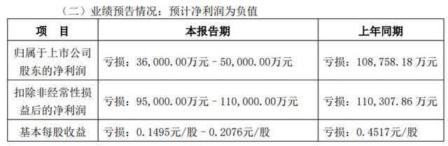 彩神vll深天马、维信诺、TCL、康佳、长虹、瑞芯微、士兰微等26企发布2025年上半年业绩预告(图3)