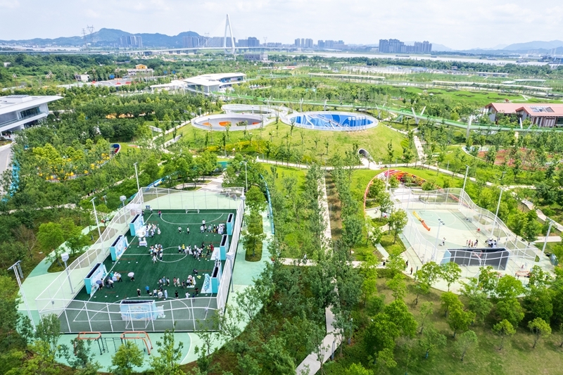 彩神vll长沙：大泽湖近自然湿地公园正式开园(图2)