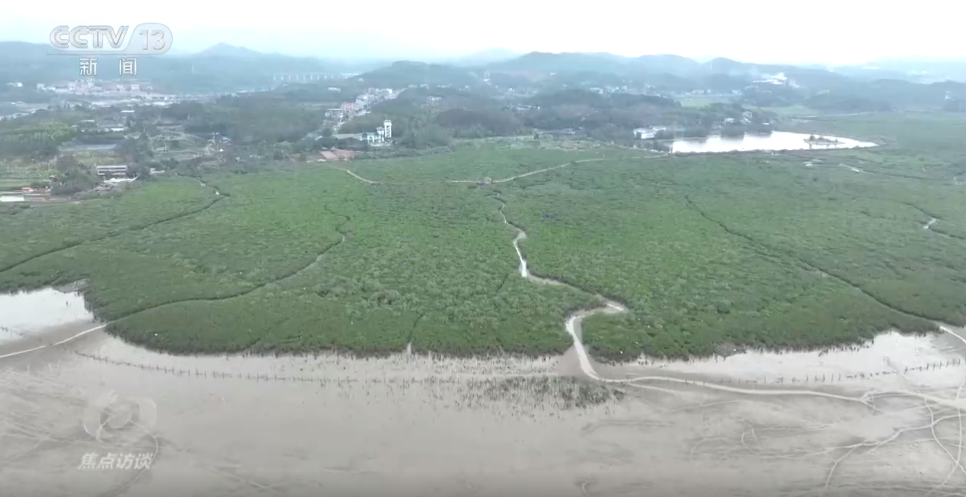 彩神vll焦点访谈｜“行走的思政课”遍地开花 看新时代少先队如何创新蜕变(图4)