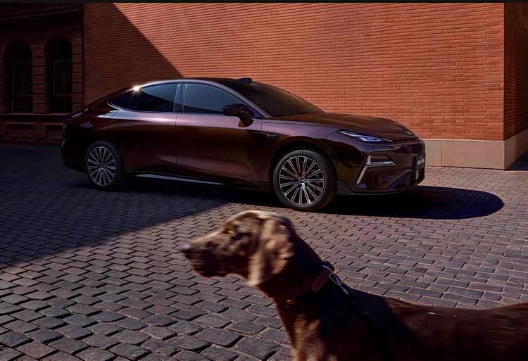 彩神vll苹果国行AI深夜上线屏幕规格曝光赛力斯营收创新高(图8)