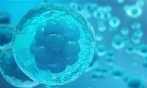 彩神vll中研网行业资讯_中研普华行业研究网(图19)